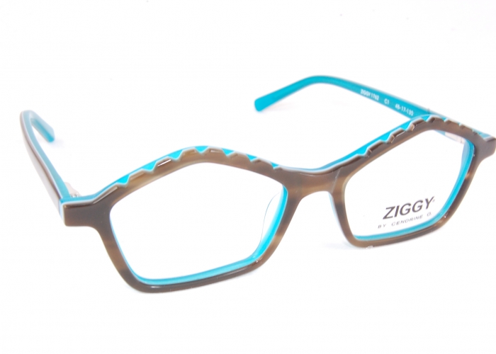 14293 Ziggy OPTIQUE 10/10