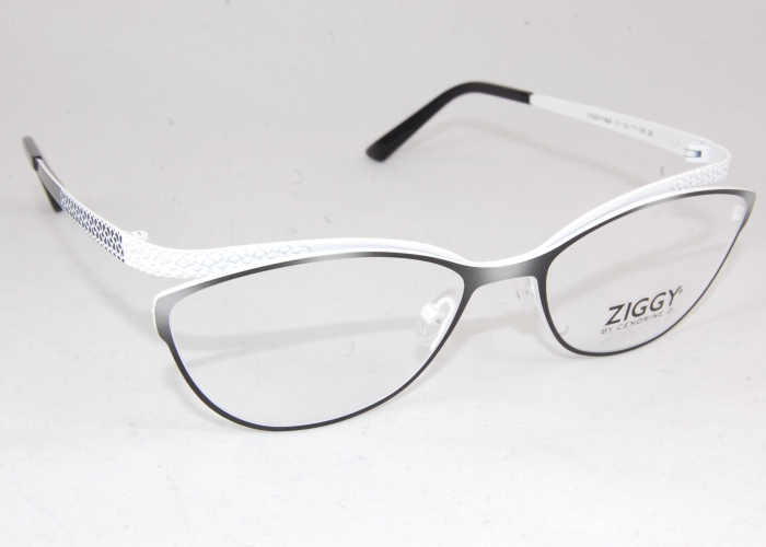 14294 Ziggy OPTIQUE 10/10