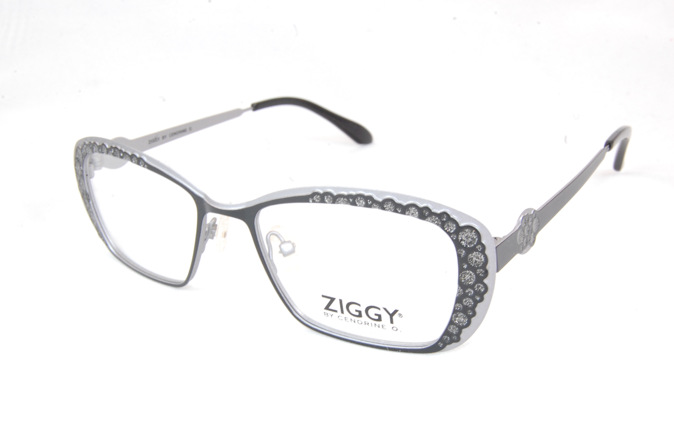 ZIGGY OPTIQUE 10/10 FACHES THUMESNIL