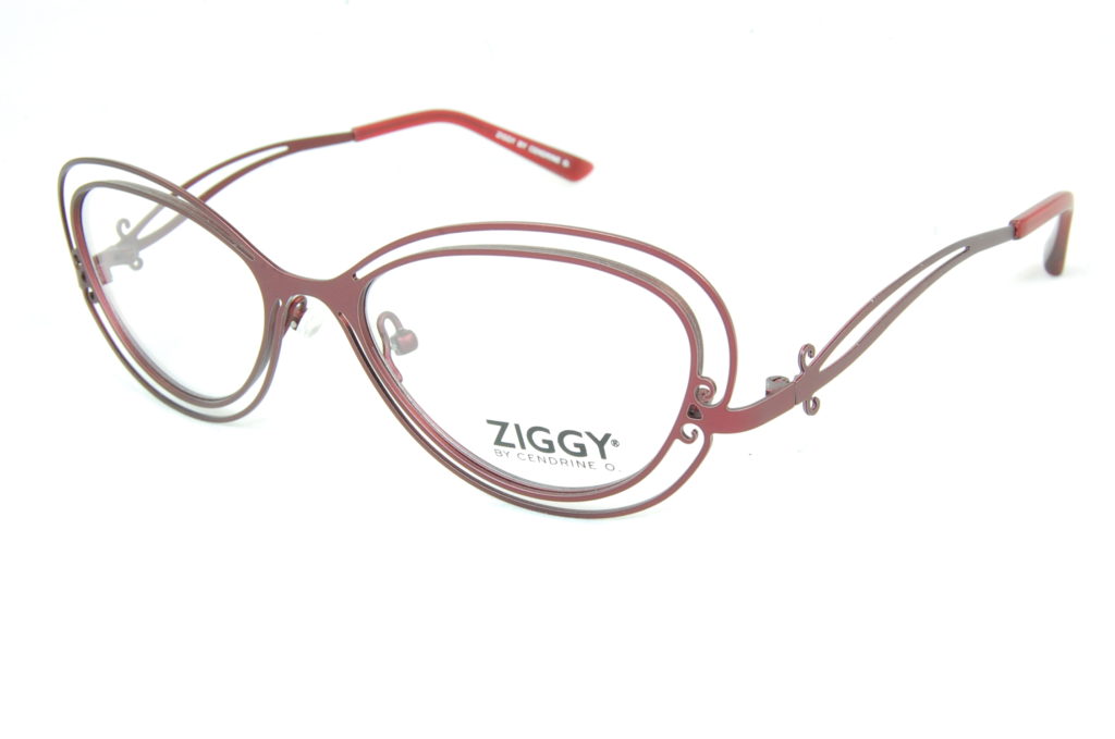 ZIGGY OPTIQUE 10/10 FACHES THUMESNIL